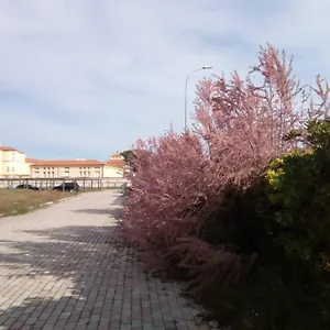 Casa Nel Parco Sulla Apartment Pisa